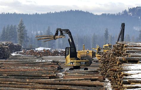 Nafta Fight Could Rock Timber Industry Local