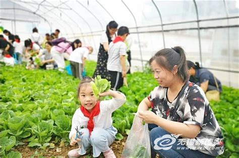 无锡中小学这些课程玩出“新花样”，让劳动教育有料有趣有意义！