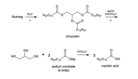 Solved Nutmeg Trimyristin Sodium Myristate Myristic Acid A Chegg