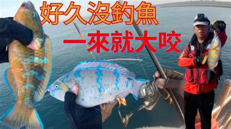 大家好久不見我又開始釣魚了一來就遇到大咬 蘇信州 Fishing クロダイ 감성돔 ตกปลา Su16888 Youtube