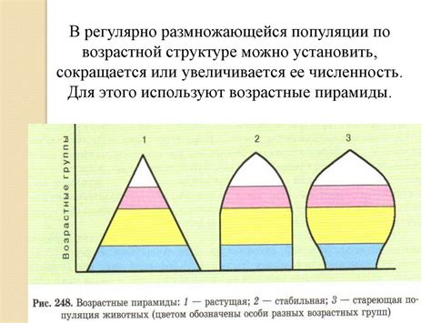 Популяции и их характеристики - презентация онлайн
