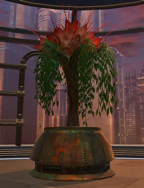 Tor Decorating Tree Tree Of Paradise Swtor