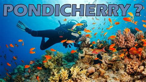 Pondicherry Scuba Diving Kerala Massage In Pondicherry Pondicherry