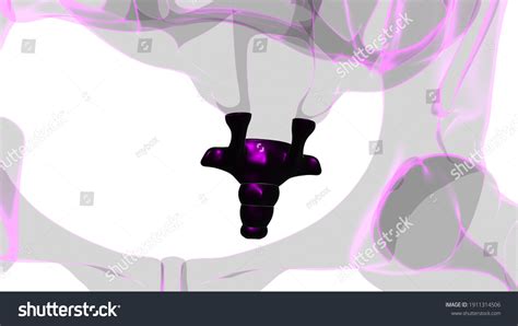 Human Skeleton Vertebral Column Coccyx Tail Stock Illustration