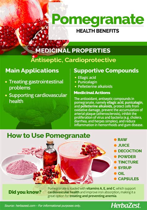 5 Proven Health Benefits Of Pomegranates