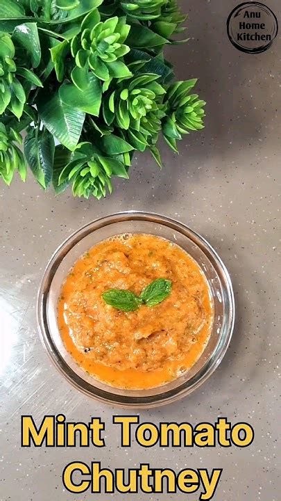 Mint Tomato Chutney L पुदीना टमाटर की चटनी L Pudina Aur Tamatar Ki