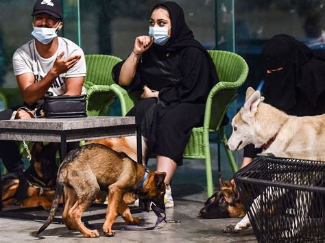 Photos In Changing Saudi Arabia First Dog Cafe Delights Pet Lovers