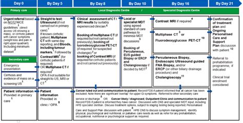 Nhs England Implementing A Timed Hpb Cancer Diagnostic Pathway