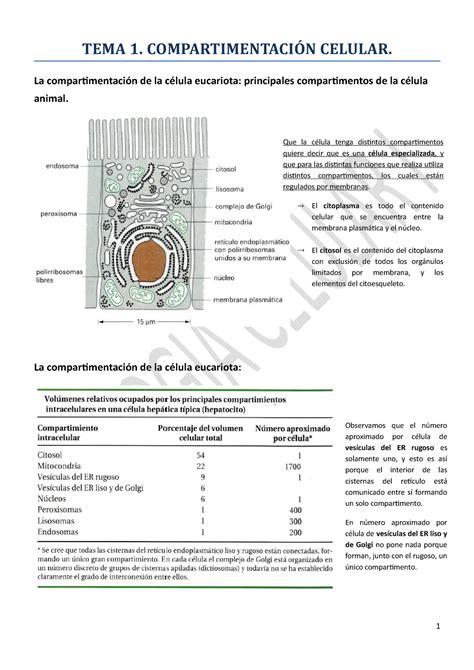 Tema Biologa Celular I Tema Compartimentaci N Celular La