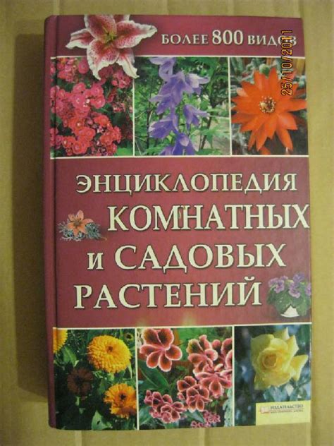 Книга: Энциклопедия комнатных и садовых растений - . Купить книгу ...
