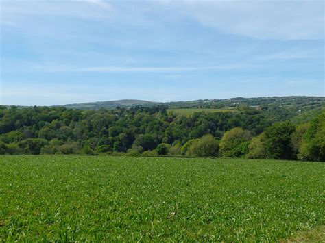 Countryside Near Bere Alston Mark Lynam Flickr