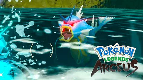 Alpha Gyarados Location Pokemon Legends Arceus YouTube