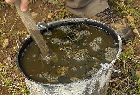 La Salud Del Huerto El Pur N De Ortiga Un Cl Sico De La Protecci N De