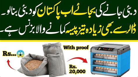 High Demand High Profitable Business Ideas In Pakistan Small