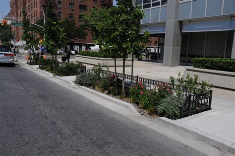 Completed Rain Gardens Include A Notch In The Curb To Allow Stormwater