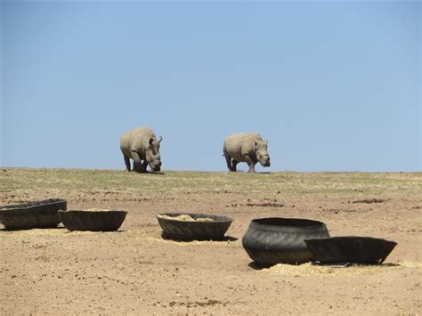 1camera1mom: Buffelsfontein Game Reserve - Part 1