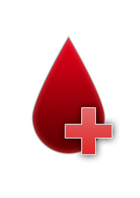 Más De 4 000 Imágenes Gratis De Donación De Sangre Y Donación Pixabay