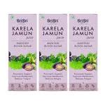 Buy Sri Sri Tattva Karela Jamun Juice 1000 Ml Each Pack Of 3 Online