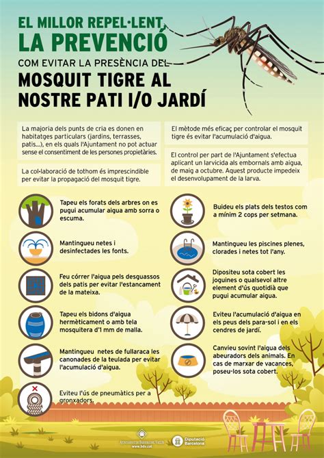 Campaña municipal para evitar la proliferación del mosquito tigre El