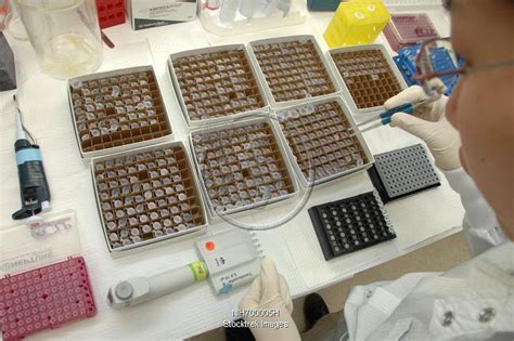 Generic vials with chemicals in research lab. | Stocktrek Images