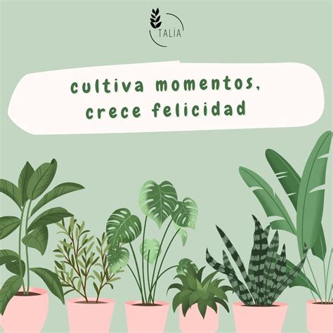 Cultiva Momentos Crece Felicidad” 🫶 Taliadecoracion