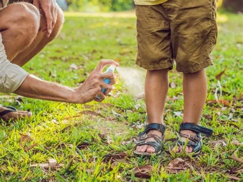 Notícias Qual é O Melhor Repelente Contra O Mosquito Da Dengue 3