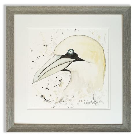 Gannet Watercolour Framed Mike Ross Arts