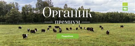 Эко-ферма "Рябинки"
