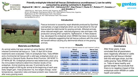 Pdf Friendly Endophyte Infected Tall Fescue Schedonorus Arundinaceus