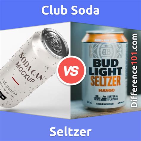 Club Soda Vs Seltzer 5 Key Differences Pros Cons Similarities