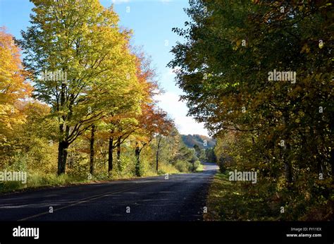 Tree Lined Road Leading To Big Powderhorn Ski Resort In Bessemer