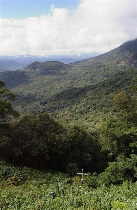 Serra do Mar Parana. The mountains covered with the dense forest of ...