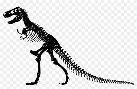 Powerpoint Template 2 Dinosaur Skeletons With Bones Dinosaur Skeleton