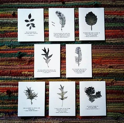 8 Pack Leaf Print Botanical Greeting Cards Greeting Card Display