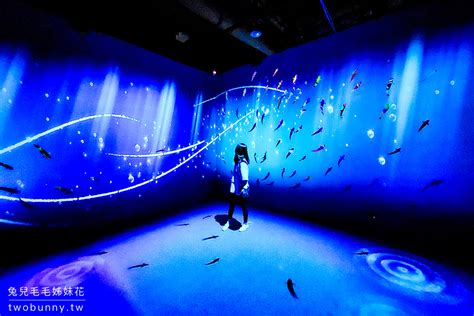 2023必看展覽NAKED OCEAN 光之影海洋展手機拍到停不下來的360度沈浸式夢幻海洋體驗 兔兒毛毛姊妹花