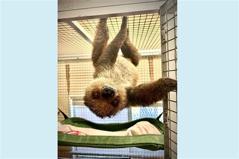 Cape May Zoo Mourns Sudden Loss Of One Of Their Cute Animals