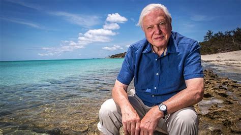 David Attenborough Lost His Appetite for Meat Due to 'the State of the ...