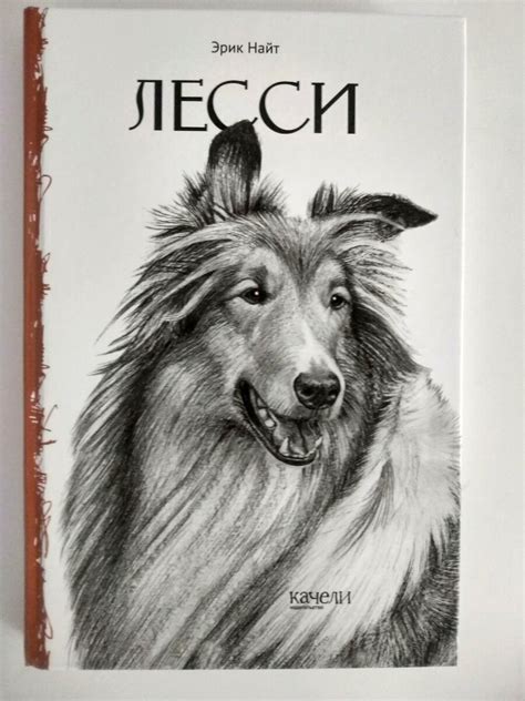 Лесси раскраска - 73 фото