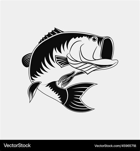 Jumping Bass Fish Royalty Free Vector Image Vectorstock