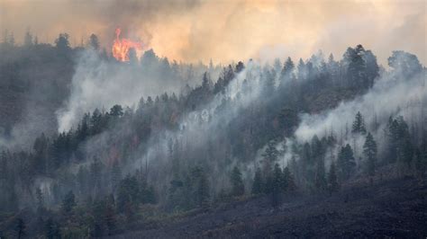 How Wildfire Smoke Affects Your Body And Mind