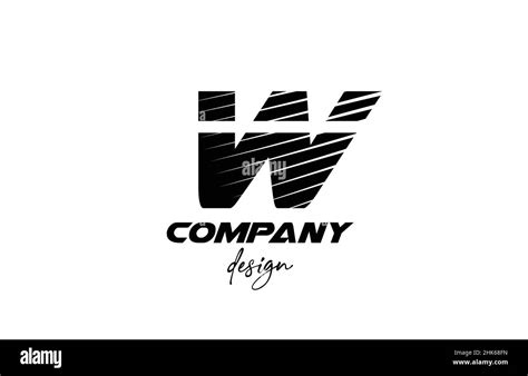 Black And White W Alphabet Letter Logo Icon Creative Design For