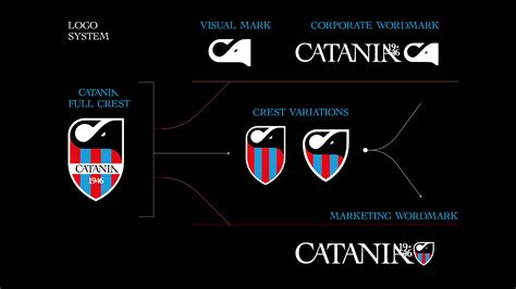 Catania SSD New Football Crest For The Sicilian Team After 75 Years