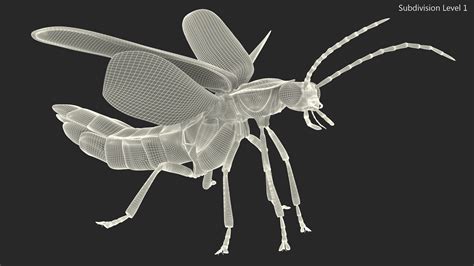 3D Photinus Pyralis Standing Pose - TurboSquid 2170502