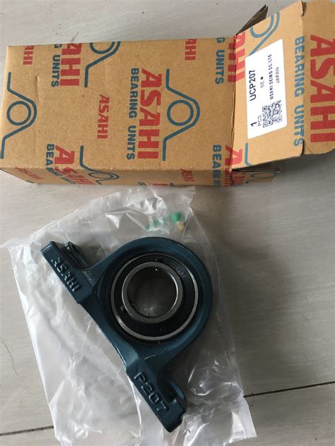 25mm Bore Pbt Plastic Housing Flange Bearing Unit Stainless Steel Pillow Block Bearing Uc205