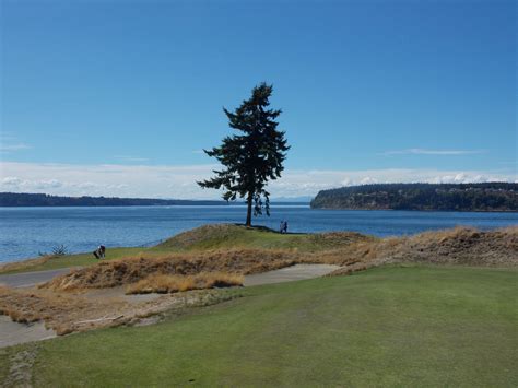 Chambers Bay In University Place Washington Golf Courses University