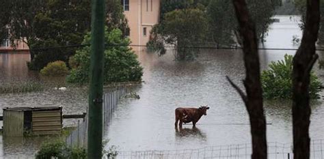 Hundreds Rescued After Flooding In Australia Ary News