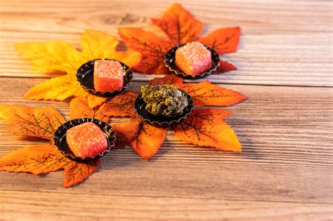 Autumn Cannabis On Behance