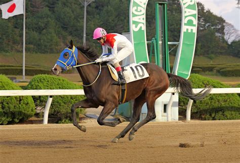 【佐賀・第65回花吹雪賞】1月21日 9r フークファンタジー確かな成長｜競馬ニュース｜競馬top｜西スポレースサイト