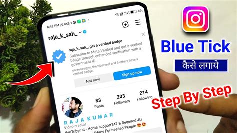 Instagram Blue Tick Kaise Lagaye How To Get Instagram Blue Tick