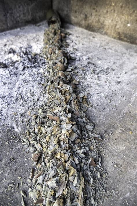 Charred And Burned Tree Trunk Stock Image Image Of Closeup Nature